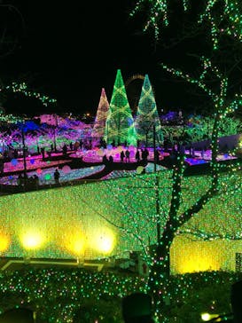 よみうりランド 遊園地に投稿された画像（2021/1/2）