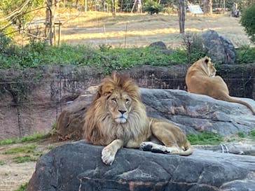 天王寺動物園に投稿された画像（2021/1/2）