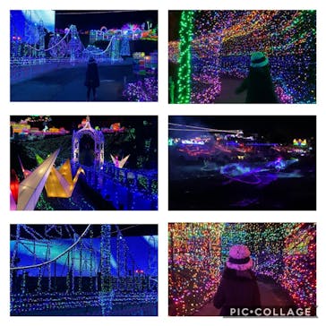 伊豆ぐらんぱる公園に投稿された画像（2021/1/2）