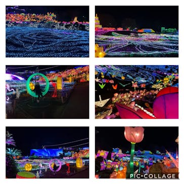 伊豆ぐらんぱる公園に投稿された画像（2021/1/2）