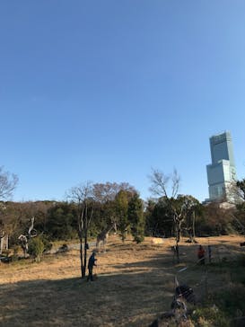 天王寺動物園に投稿された画像（2021/1/2）