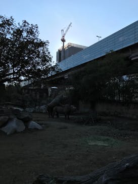 天王寺動物園に投稿された画像（2021/1/2）