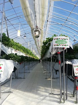 井上寅雄農園に投稿された画像（2021/1/2）