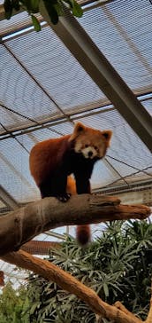 神戸どうぶつ王国に投稿された画像（2021/1/2）