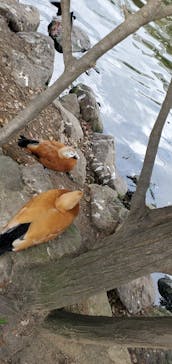 神戸どうぶつ王国に投稿された画像（2021/1/2）