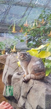 神戸どうぶつ王国に投稿された画像（2021/1/2）