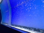 アクアワールド茨城県大洗水族館に投稿された画像（2021/1/2）