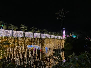 美らヤシパークオキナワ・東南植物楽園に投稿された画像（2021/1/2）