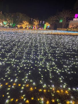 美らヤシパークオキナワ・東南植物楽園に投稿された画像（2021/1/2）