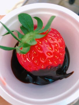 いのさんの観光農園に投稿された画像（2021/1/2）