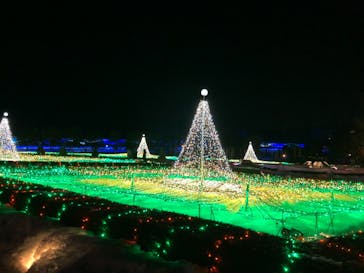 とっとり花回廊に投稿された画像（2021/1/2）