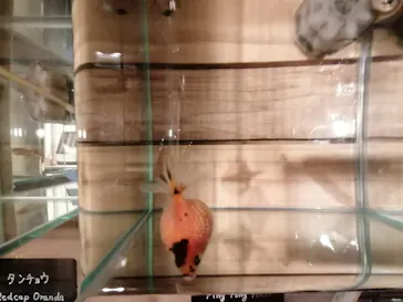 すみだ水族館に投稿された画像（2021/1/2）