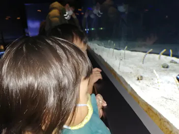 すみだ水族館に投稿された画像（2021/1/2）