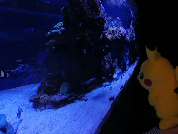 すみだ水族館に投稿された画像（2021/1/2）