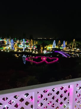 美らヤシパークオキナワ・東南植物楽園に投稿された画像（2021/1/2）