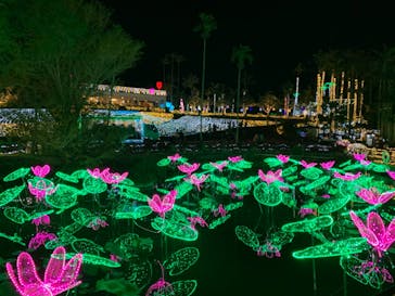 美らヤシパークオキナワ・東南植物楽園に投稿された画像（2021/1/2）