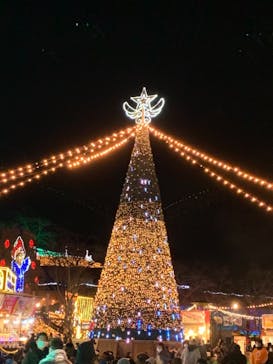 さがみ湖MORI MORIに投稿された画像（2021/1/2）