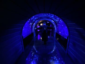 サンシャイン水族館に投稿された画像（2021/1/2）