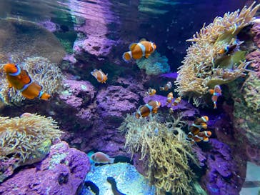 サンシャイン水族館に投稿された画像（2021/1/2）