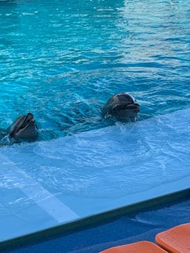 南知多ビーチランド＆南知多おもちゃ王国に投稿された画像（2021/1/2）