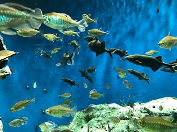 サンシャイン水族館に投稿された画像（2021/1/2）