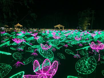 美らヤシパークオキナワ・東南植物楽園に投稿された画像（2021/1/2）