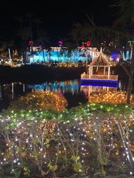 美らヤシパークオキナワ・東南植物楽園に投稿された画像（2021/1/2）