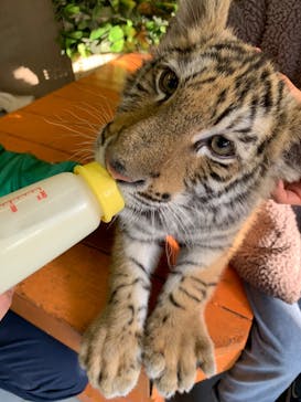 しろとり動物園に投稿された画像（2021/1/2）