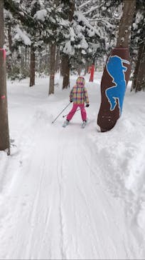 戸隠スキー場に投稿された画像（2021/1/2）