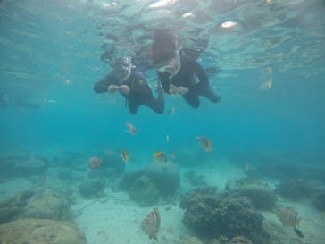 武藤潜水に投稿された画像（2021/1/3）