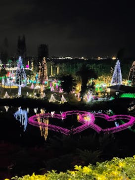 美らヤシパークオキナワ・東南植物楽園に投稿された画像（2021/1/3）