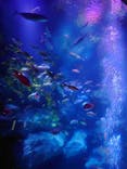 すみだ水族館に投稿された画像（2021/1/3）