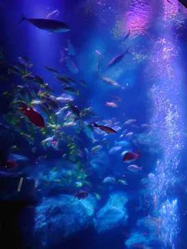 すみだ水族館に投稿された画像（2021/1/3）