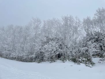 木曽福島スキー場に投稿された画像（2021/1/3）