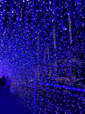 江の島シーキャンドルに投稿された画像（2021/1/3）