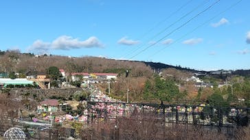 伊豆ぐらんぱる公園に投稿された画像（2021/1/3）