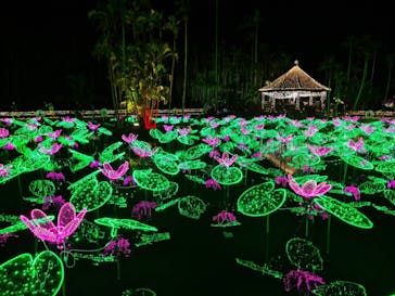 美らヤシパークオキナワ・東南植物楽園に投稿された画像（2021/1/3）