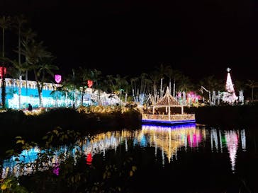 美らヤシパークオキナワ・東南植物楽園に投稿された画像（2021/1/3）