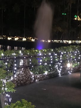 美らヤシパークオキナワ・東南植物楽園に投稿された画像（2021/1/3）