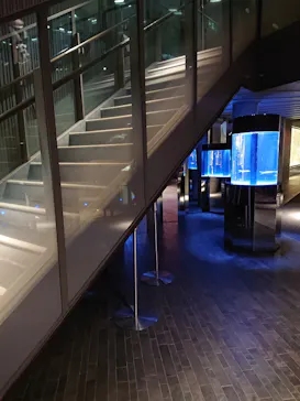 すみだ水族館に投稿された画像（2021/1/3）