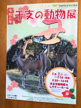 天王寺動物園に投稿された画像（2021/1/3）
