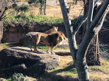 天王寺動物園に投稿された画像（2021/1/3）