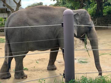 沖縄こどもの国に投稿された画像（2021/1/3）