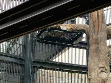 沖縄こどもの国に投稿された画像（2021/1/3）