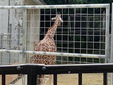 沖縄こどもの国に投稿された画像（2021/1/3）