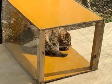 沖縄こどもの国に投稿された画像（2021/1/3）