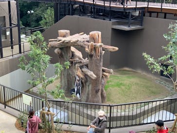 沖縄こどもの国に投稿された画像（2021/1/3）