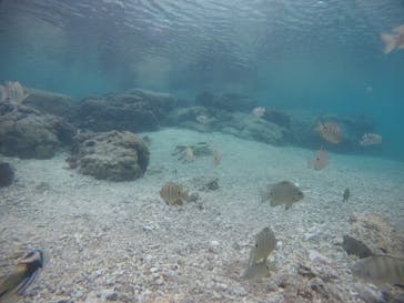 武藤潜水に投稿された画像（2021/1/3）