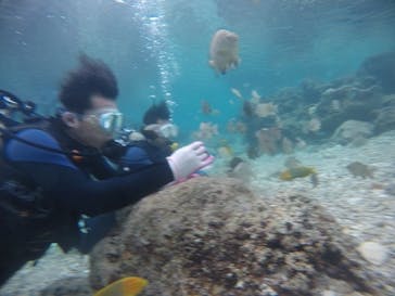 武藤潜水に投稿された画像（2021/1/3）