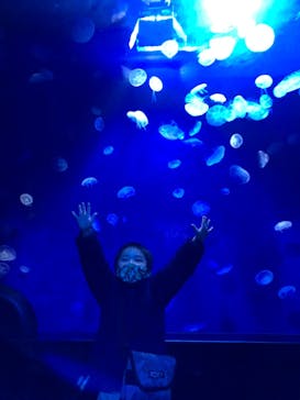 サンシャイン水族館に投稿された画像（2021/1/3）